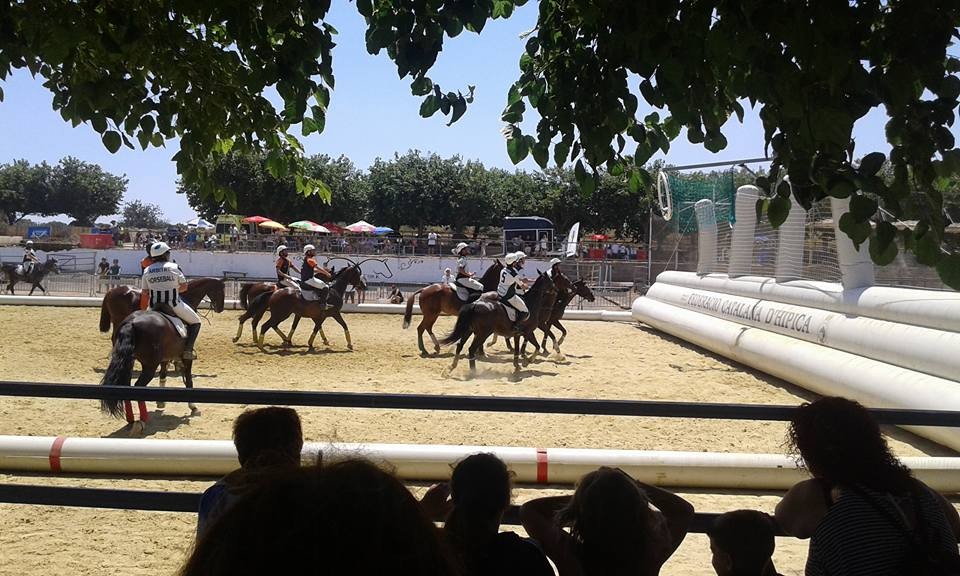 El jinete Navarro Pablo Checa Calasanz, pichichi de la 2ª división de la Liga mixta Catalana de Horseball